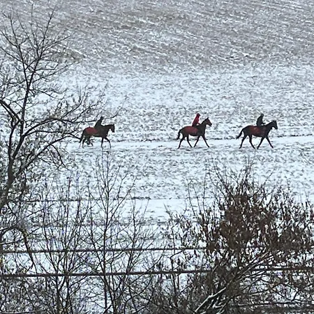 דירה Airport Wyscigi - And View With Underground Garage ורשה