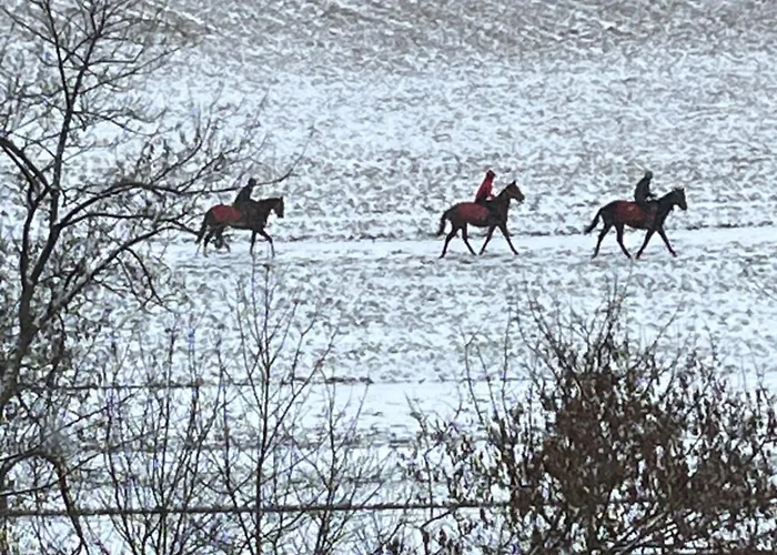 Apartment Airport Wyscigi - And View With Underground Garage Warsaw
